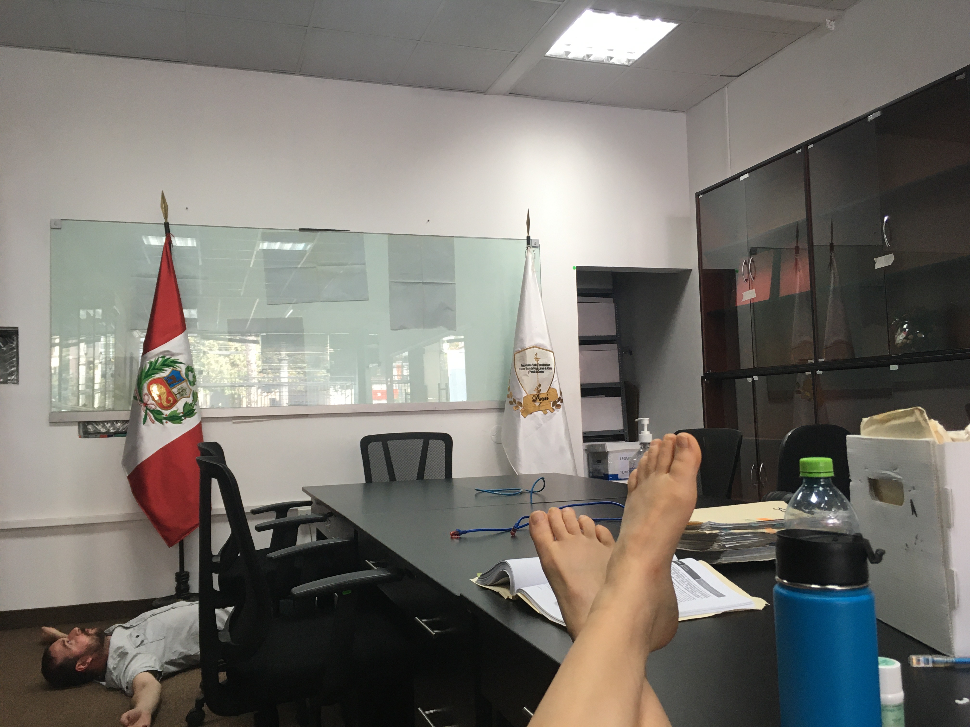 Pavla Holcová a Stevan Dojčinović